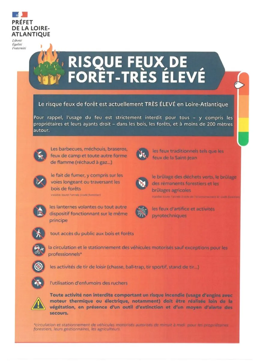 FEUX DE FORET INCENDIE ROUGE